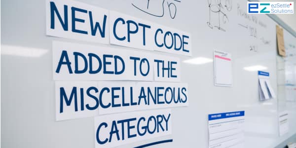 E1804 : New CPT code added to the miscellaneous category